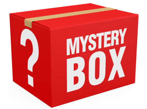 Black Biscuit MYSTERY PANT - You Choose Size we pick the pant DEEPLY DISCOUNTED